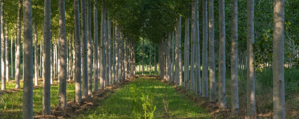 We minimize the environmental impact | Medichem Environmental sustainability | Medichem